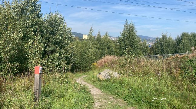Den grønne ringen