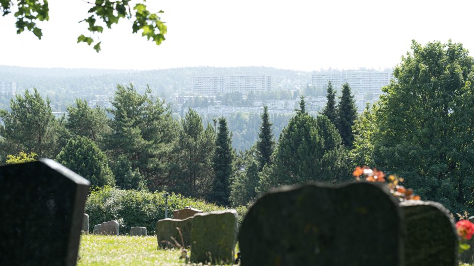 Den grønne ringen.