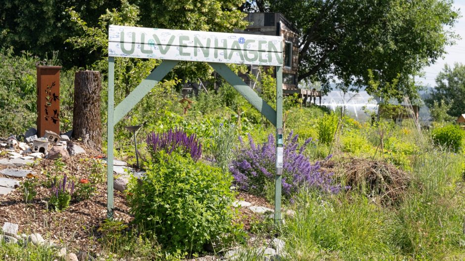 Den grønne ringen